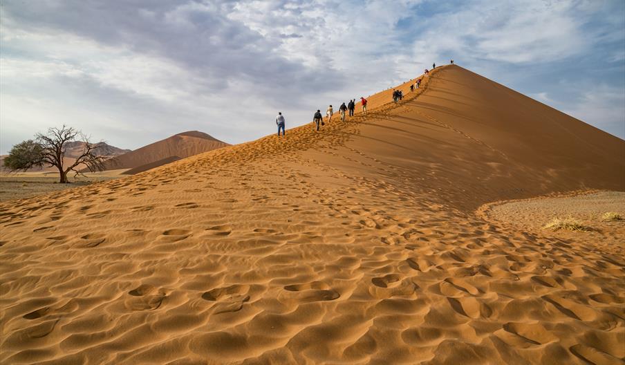 Namibia desert dunes